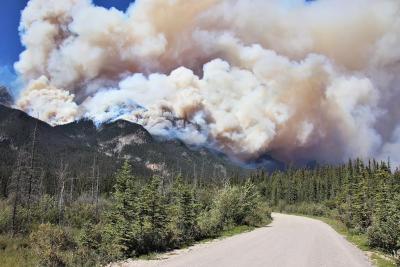 Des incendies de forêt dévastateurs ont ravagé le parc national Jasper cet été. (Photo via X.)