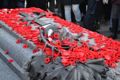 Des coquelicots recouvrent la Tombe du Soldat inconnu à Ottawa lors du jour du Souvenir. (Photo : Benoit Rochon via Wikimedia Commons.)