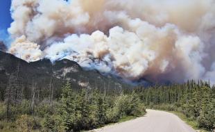 Des incendies de forêt dévastateurs ont ravagé le parc national Jasper cet été. (Photo via X.)