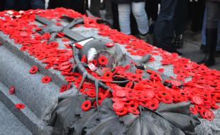 Des coquelicots recouvrent la Tombe du Soldat inconnu à Ottawa lors du jour du Souvenir. (Photo : Benoit Rochon via Wikimedia Commons.)